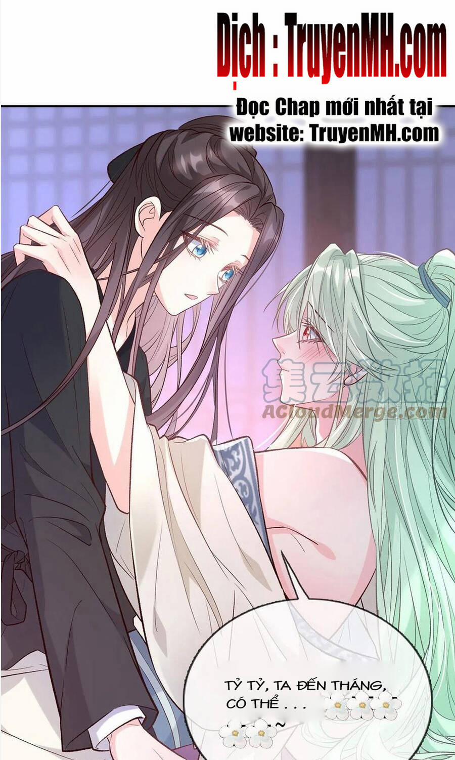 Kiều Mỵ Phu Lang, Tại Tuyến Lục Trà 85 trang 11