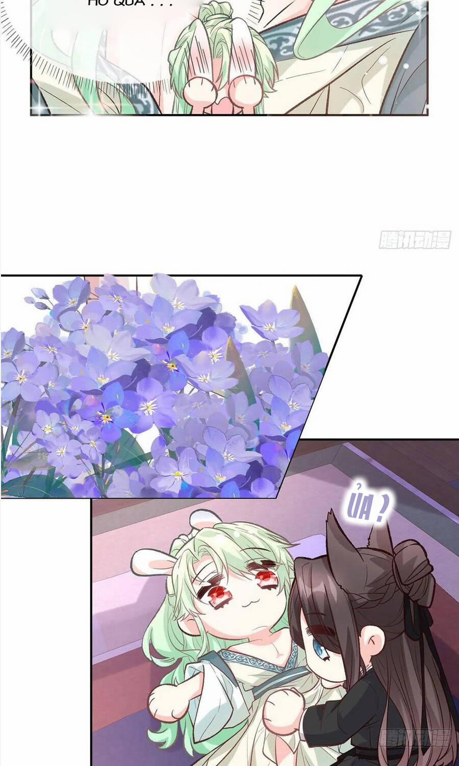 Kiều Mỵ Phu Lang, Tại Tuyến Lục Trà 85 trang 8