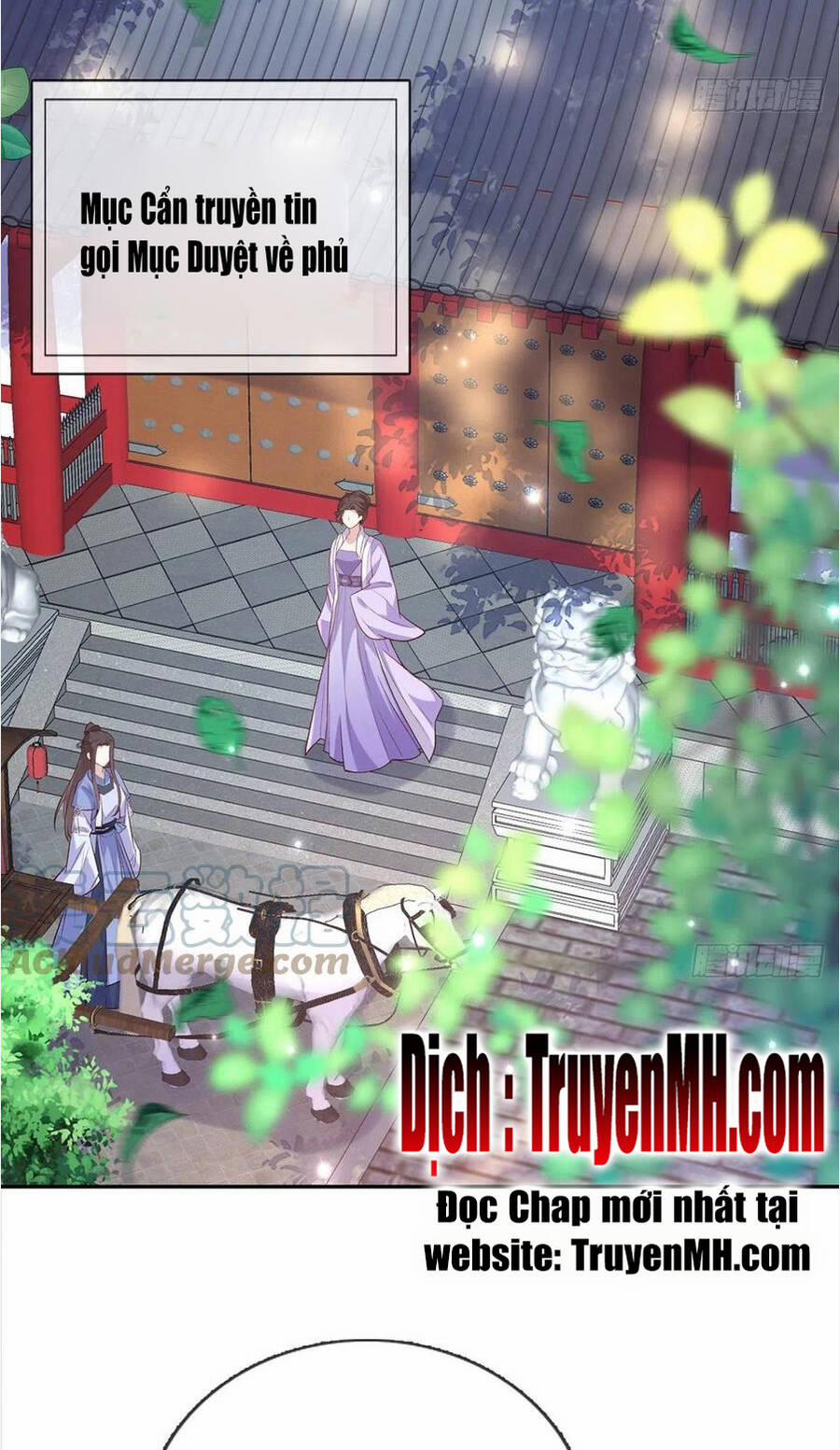 Kiều Mỵ Phu Lang, Tại Tuyến Lục Trà 86 trang 12