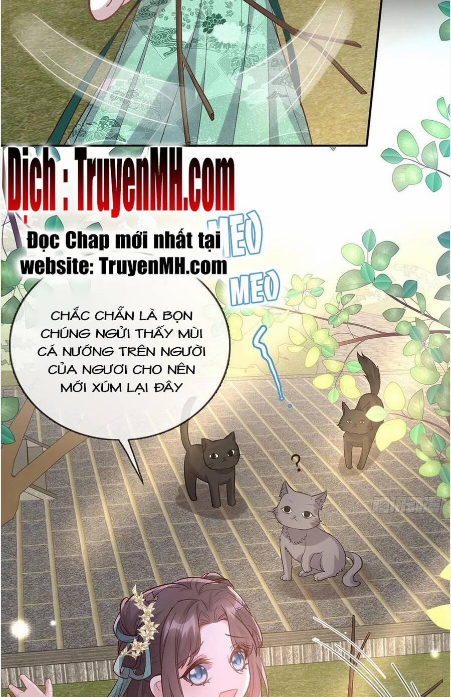 Kiều Mỵ Phu Lang, Tại Tuyến Lục Trà 87 trang 15