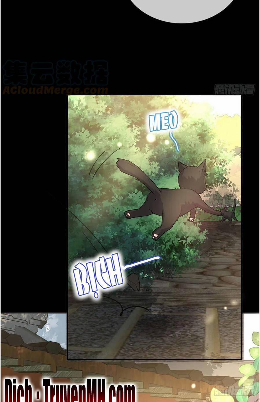 Kiều Mỵ Phu Lang, Tại Tuyến Lục Trà 87 trang 17