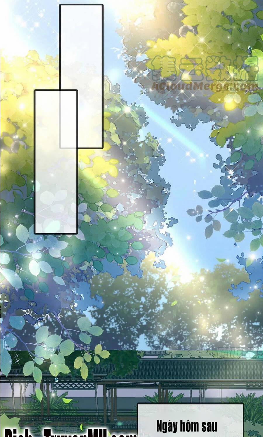 Kiều Mỵ Phu Lang, Tại Tuyến Lục Trà 91 trang 17