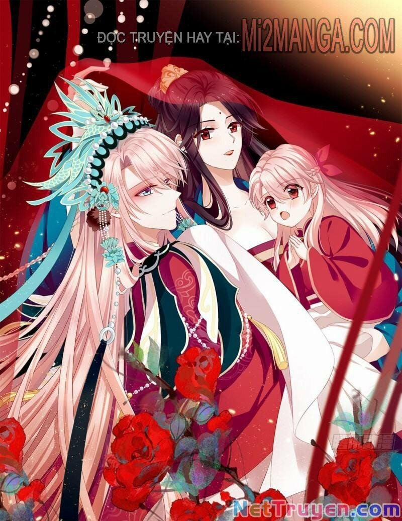 Kiều Phu Có Hỉ 12 trang 0