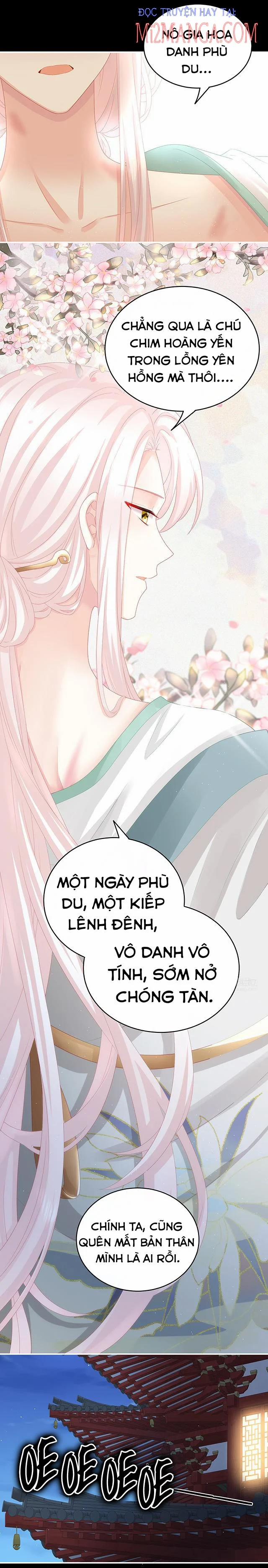 Kiều Phu Có Hỉ 42.2 trang 8