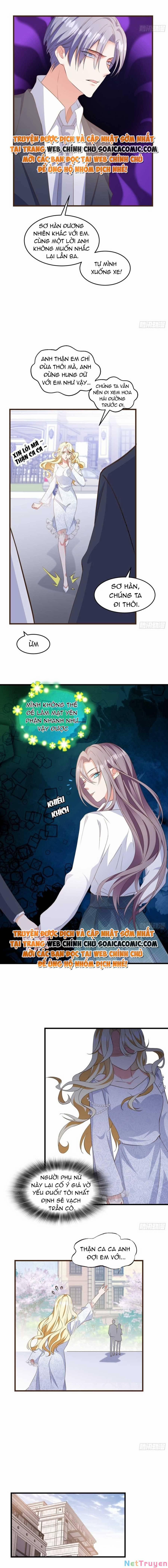 Kiều Thê Hào Môn Chạy Đi Đâu 11 trang 4