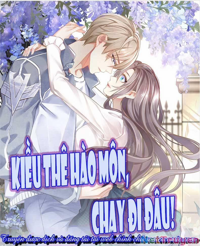 Kiều Thê Hào Môn Chạy Đi Đâu 2 trang 0