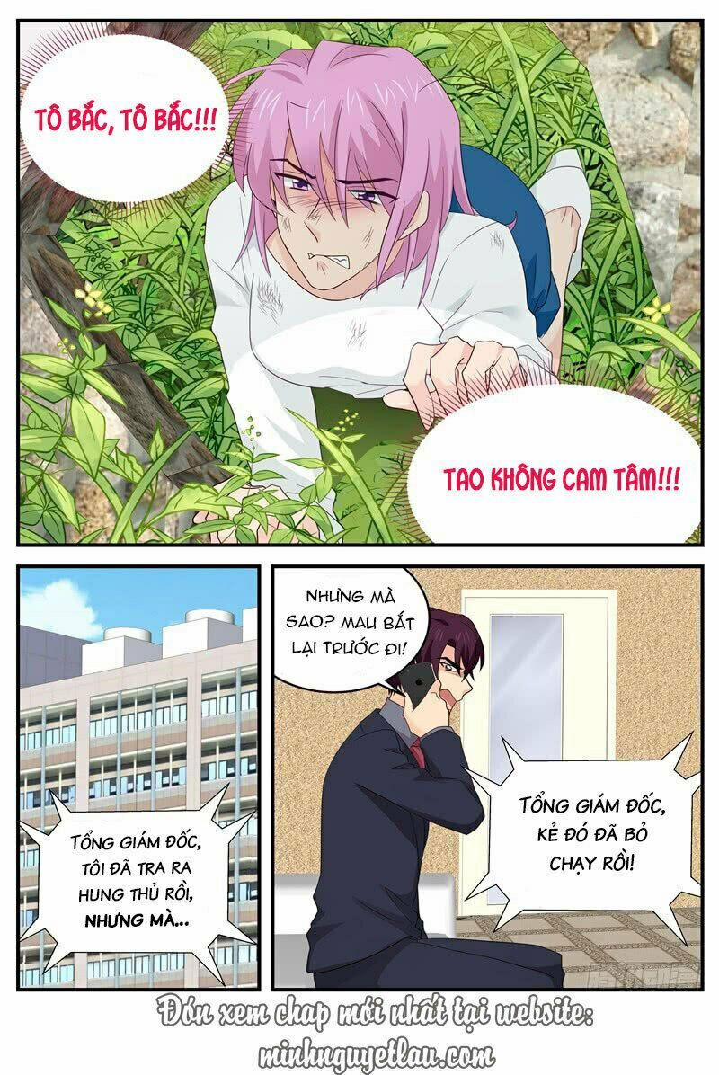 Kim Bài Điềm Thê 119 trang 8