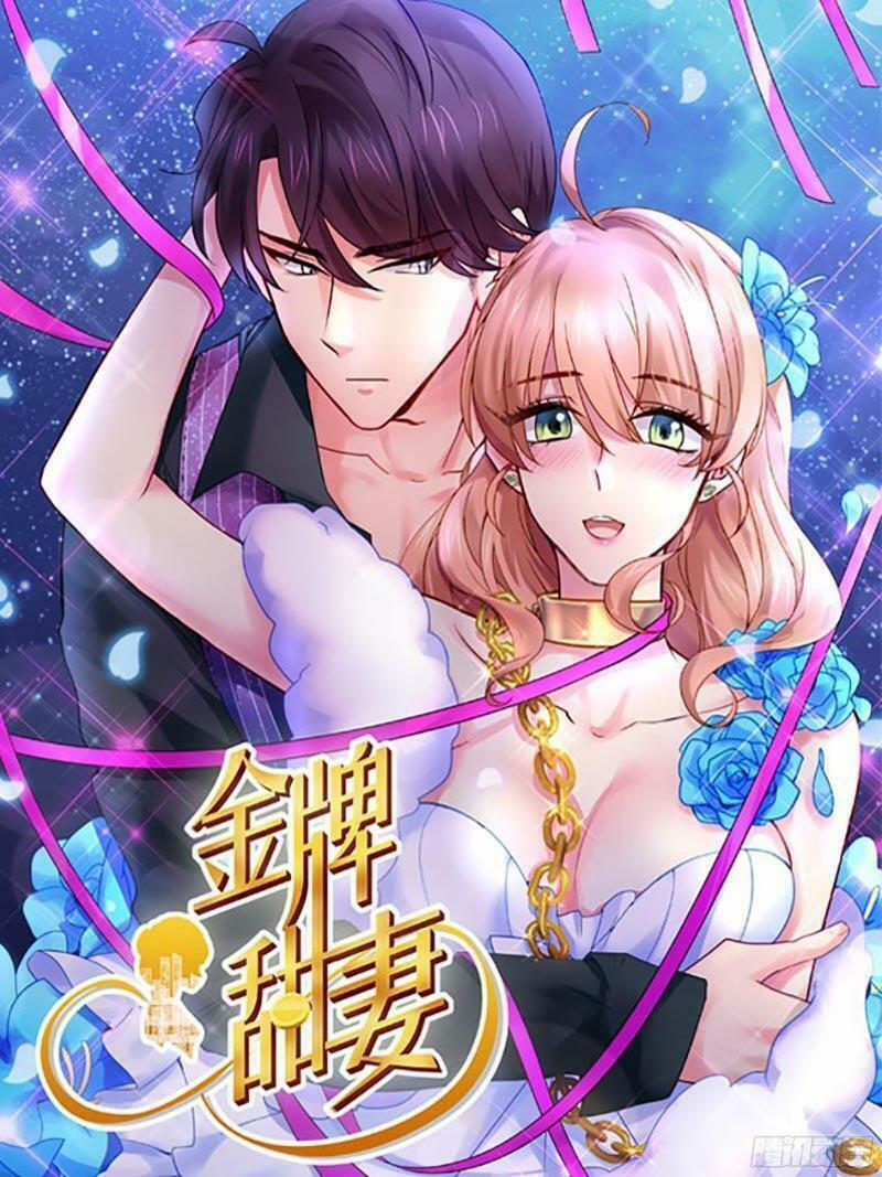 Kim Bài Điềm Thê 220 trang 0