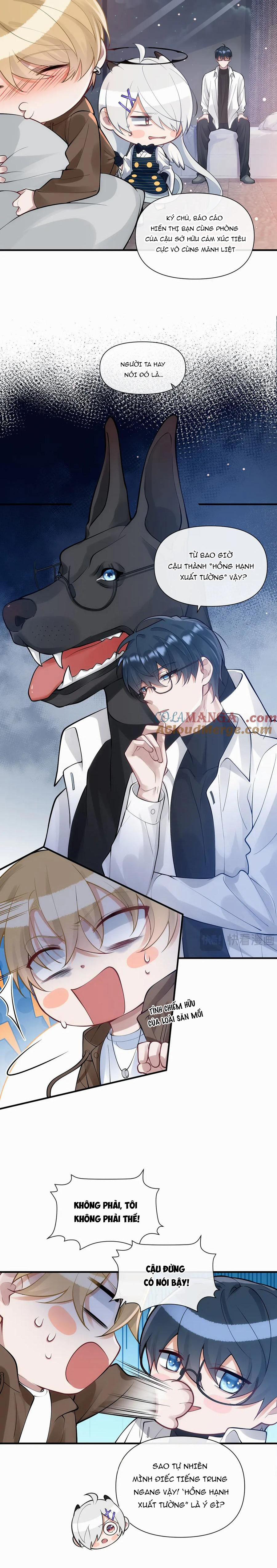 Kim Bài Paparazzi Là Đại Minh Tinh 13 trang 1