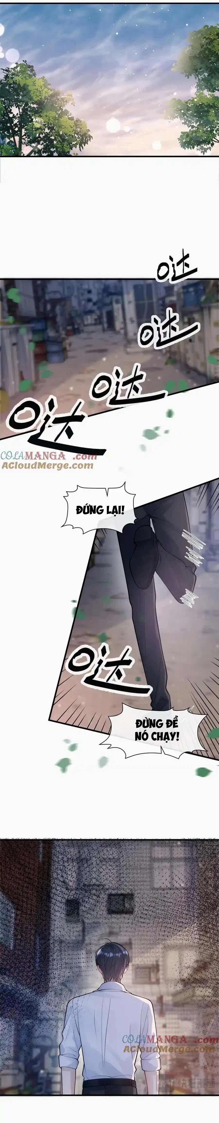 Kim Bài Paparazzi Là Đại Minh Tinh 17 trang 5