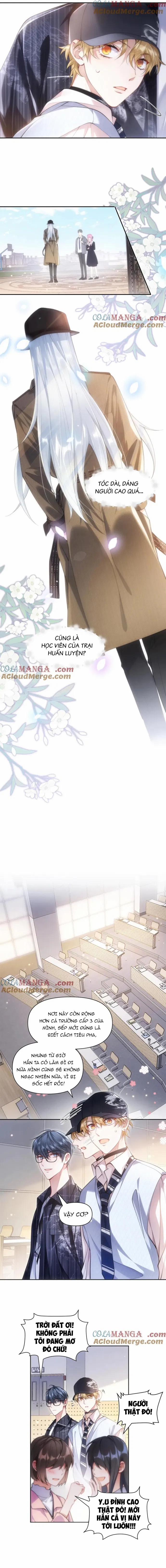 Kim Bài Paparazzi Là Đại Minh Tinh 26 trang 2