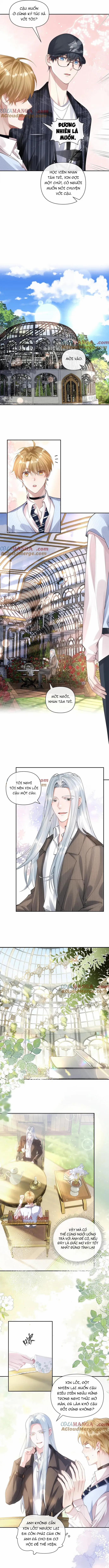 Kim Bài Paparazzi Là Đại Minh Tinh 29 trang 2