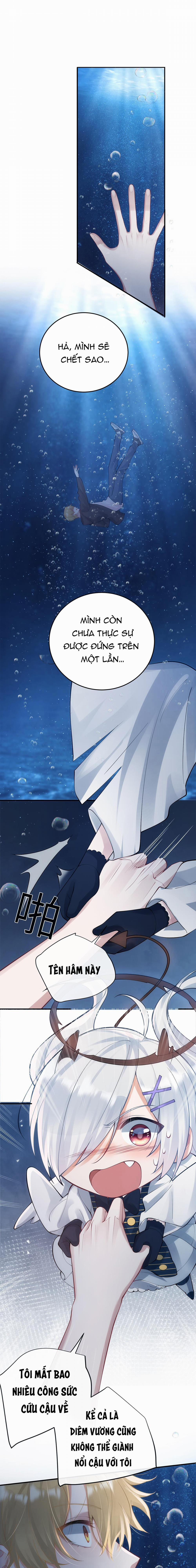 Kim Bài Paparazzi Là Đại Minh Tinh 4 trang 0