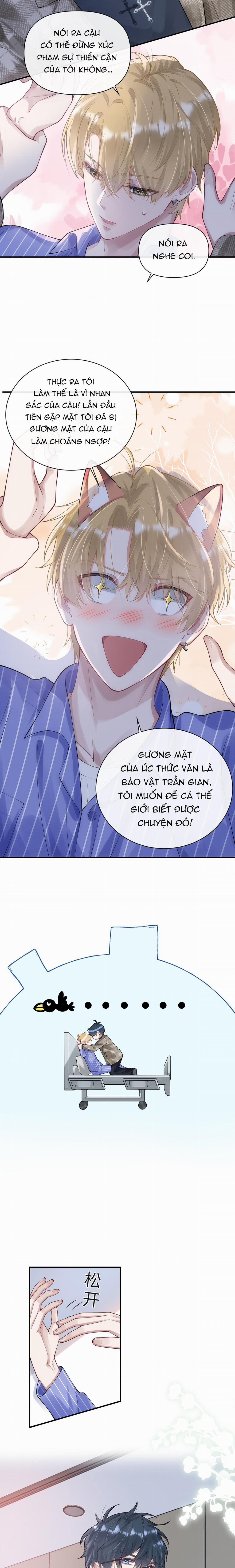 Kim Bài Paparazzi Là Đại Minh Tinh 5 trang 8