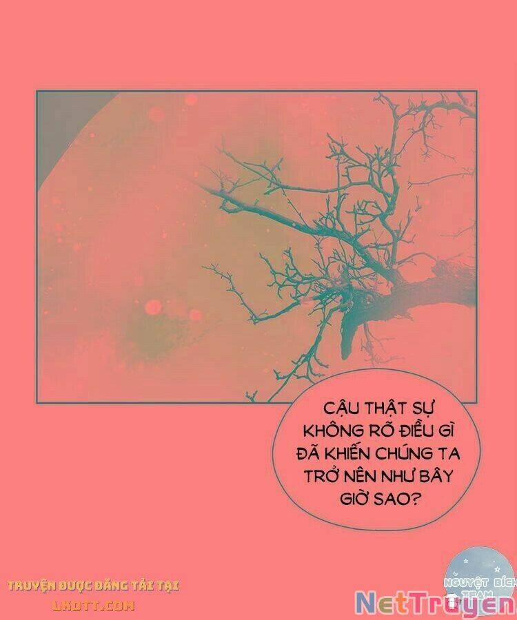 Kim Chủ Đế 15 trang 7