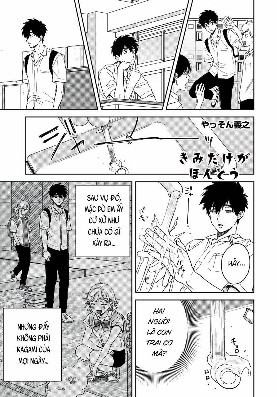 Kimi Dake Ga Hontou 8 trang 15