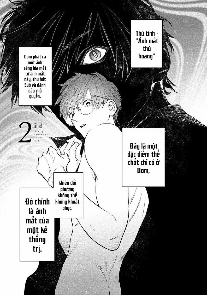 Kimi Ga Kemono Ni Nareru Made 2 trang 0