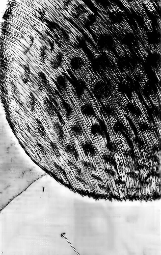 King Golf 99 trang 13