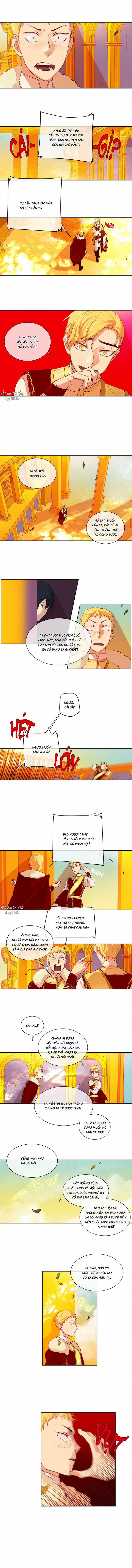 King’S Maker 20 trang 1