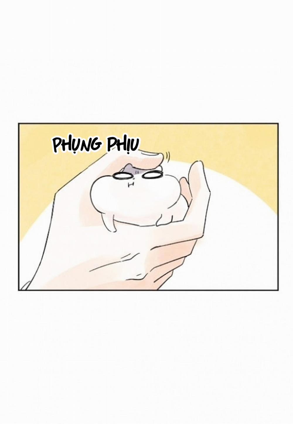 Kisses X Kiss X Kisses 15 trang 17