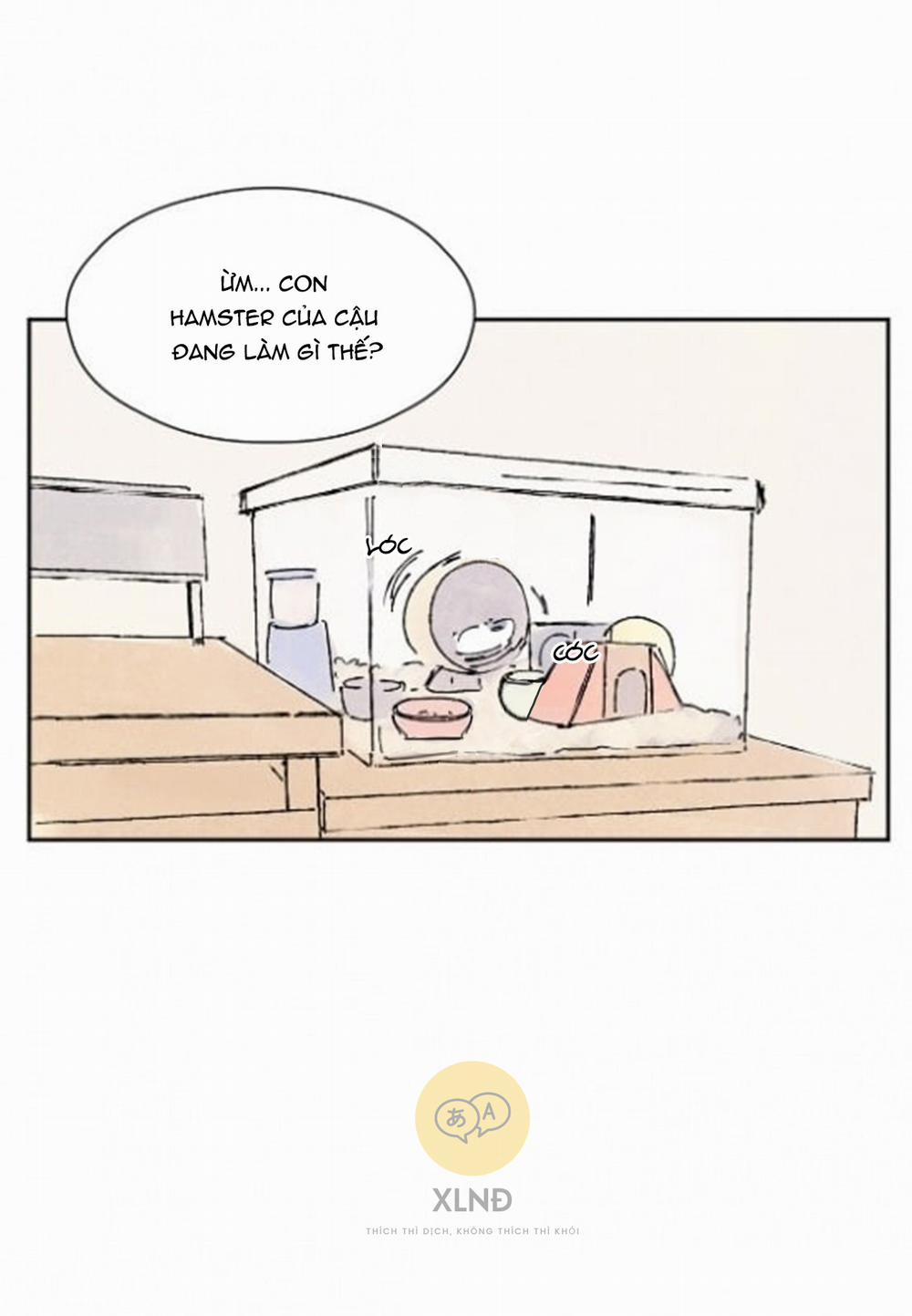 Kisses X Kiss X Kisses 17 trang 8