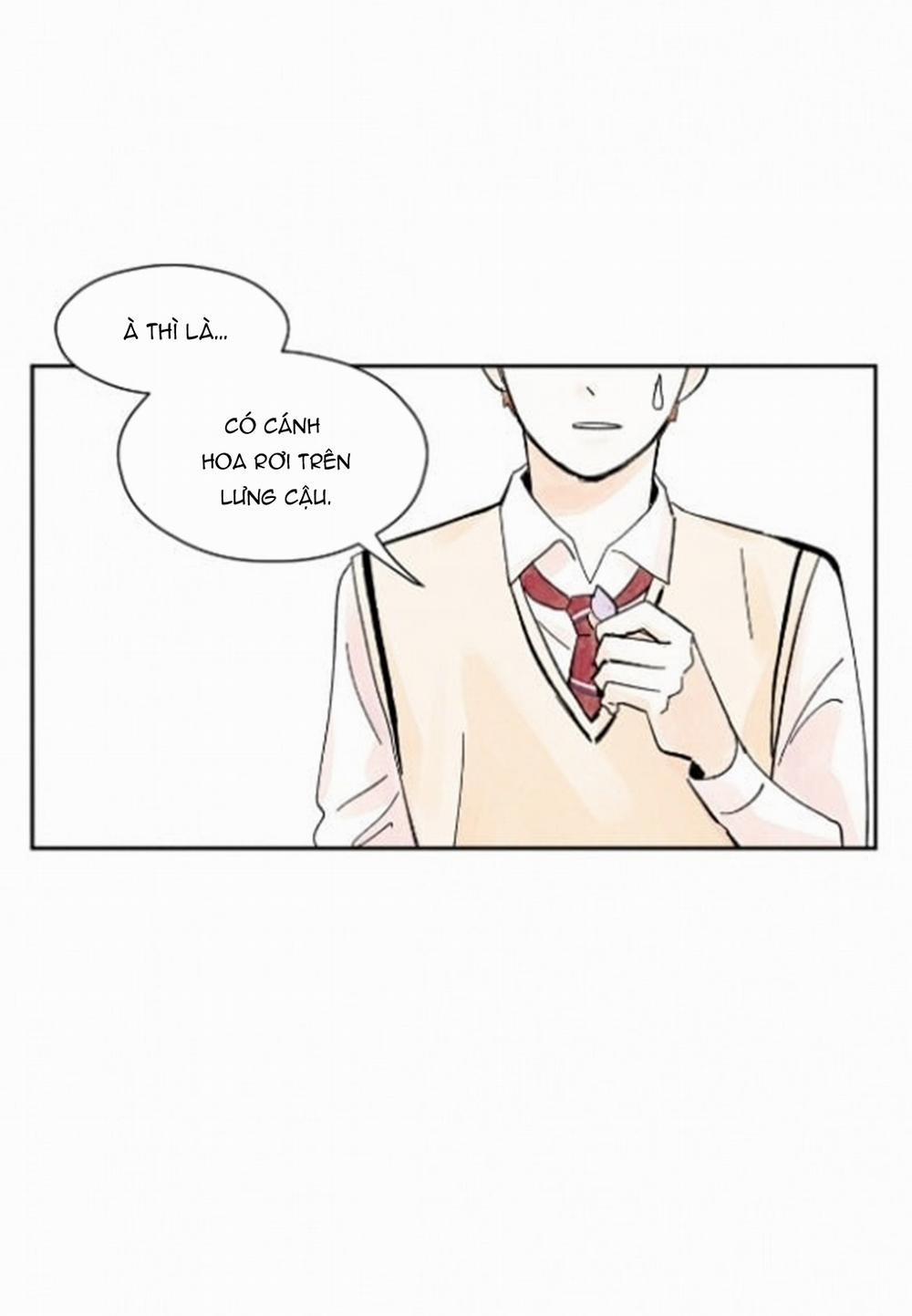 Kisses X Kiss X Kisses 21 trang 19