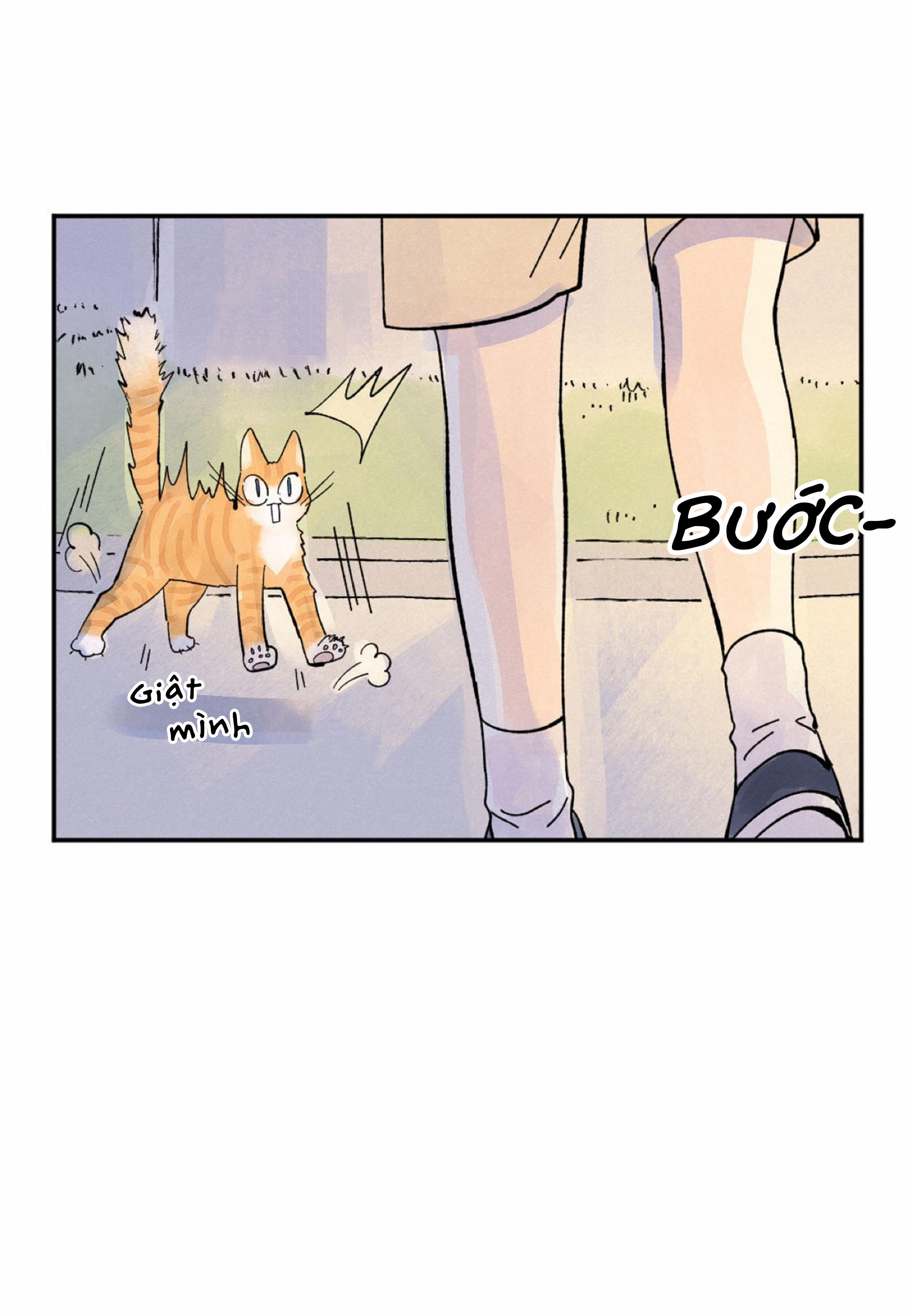 Kisses X Kiss X Kisses 28 trang 18