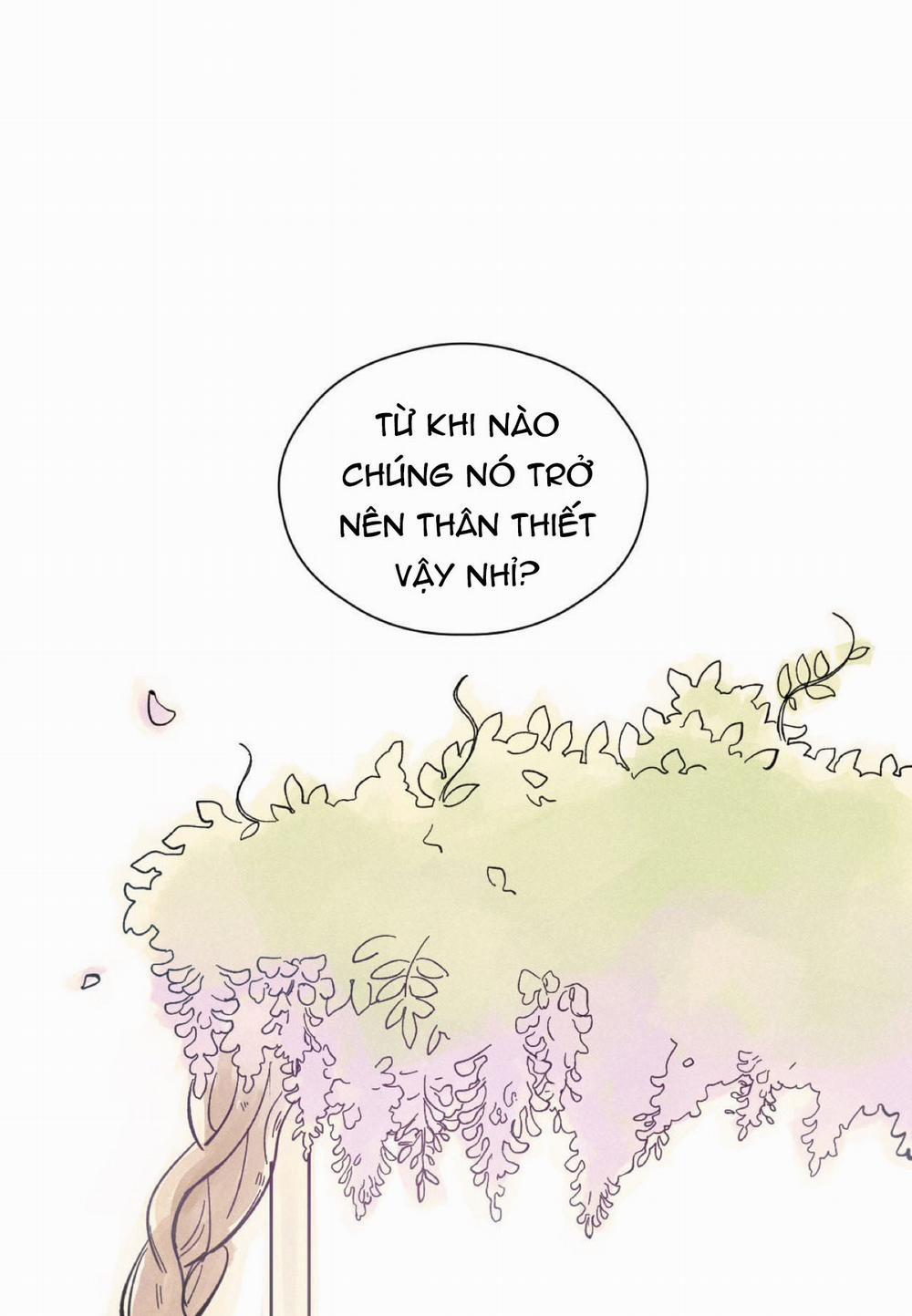 Kisses X Kiss X Kisses 6 trang 40