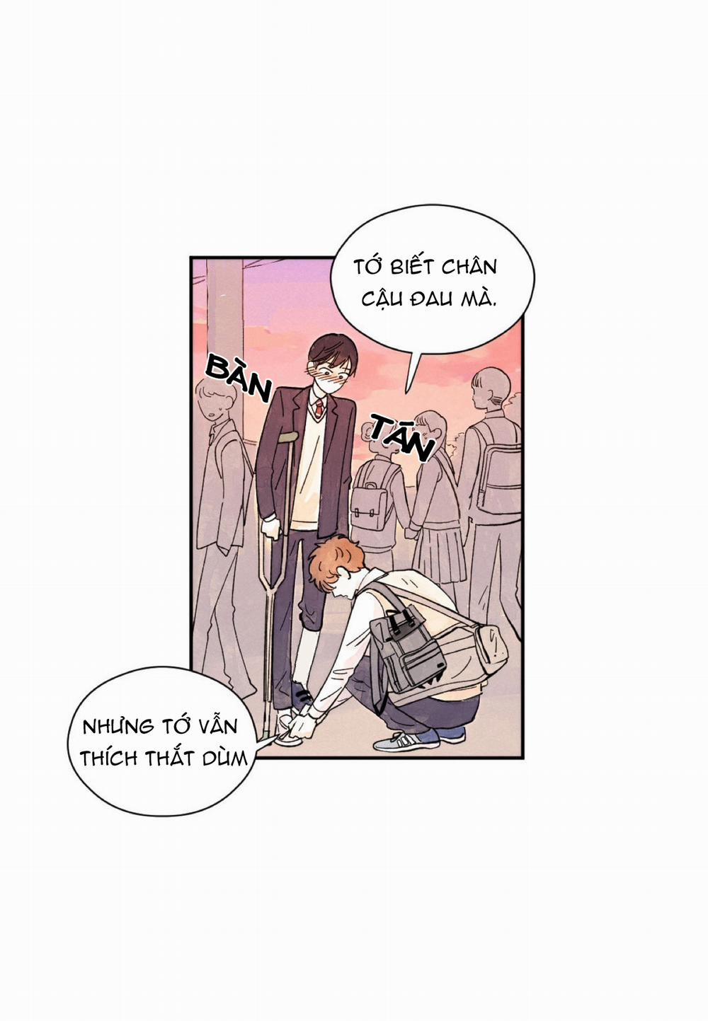 Kisses X Kiss X Kisses 7 trang 23