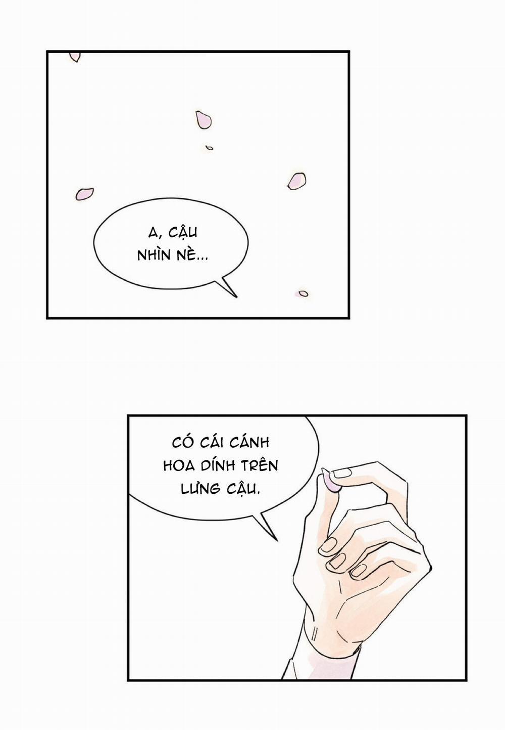 Kisses X Kiss X Kisses 7 trang 29