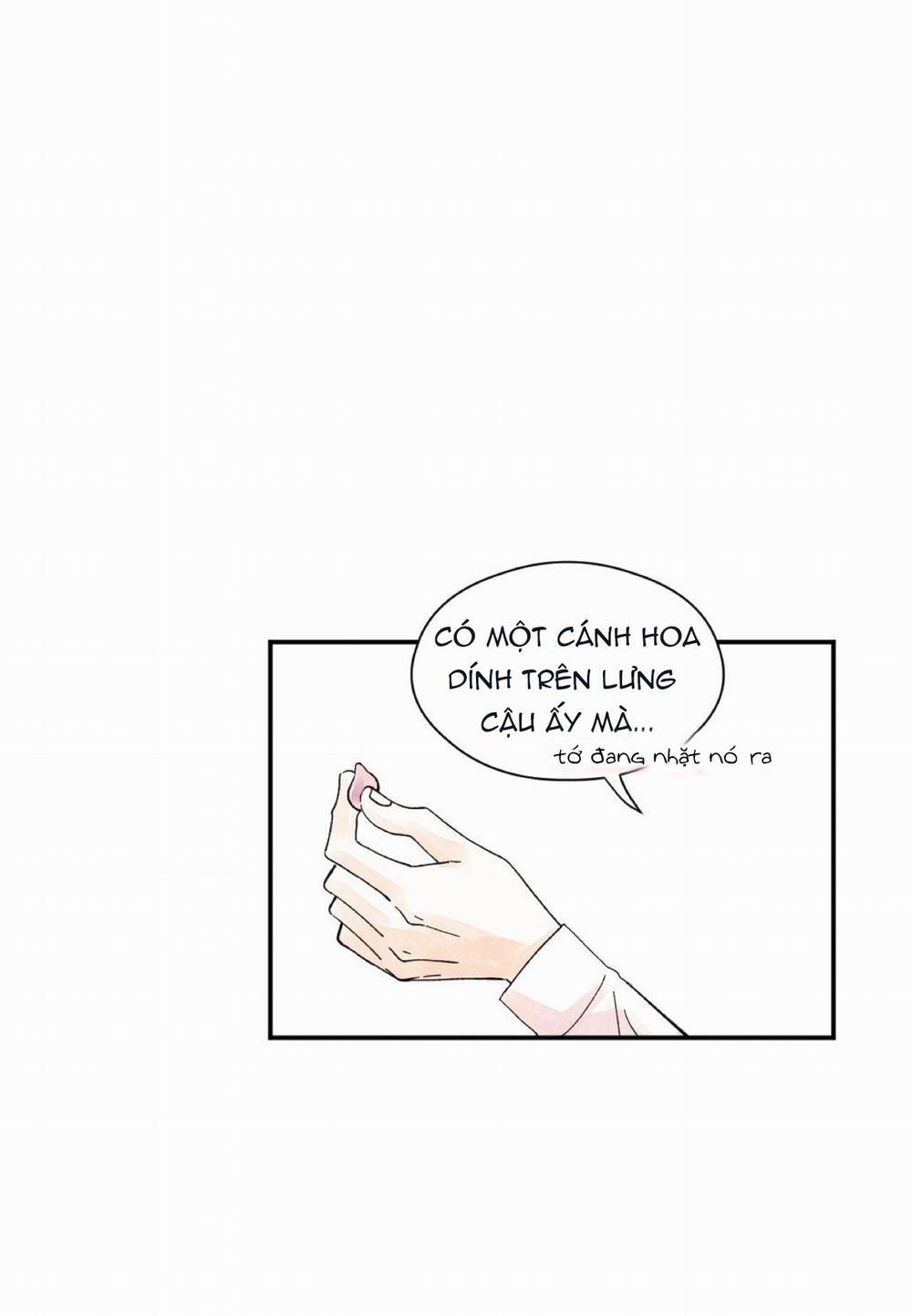 Kisses X Kiss X Kisses 7 trang 8