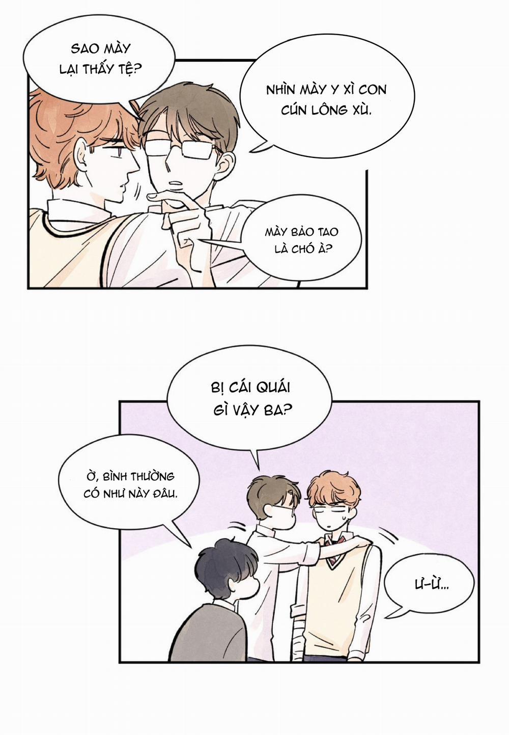 Kisses X Kiss X Kisses 8 trang 6