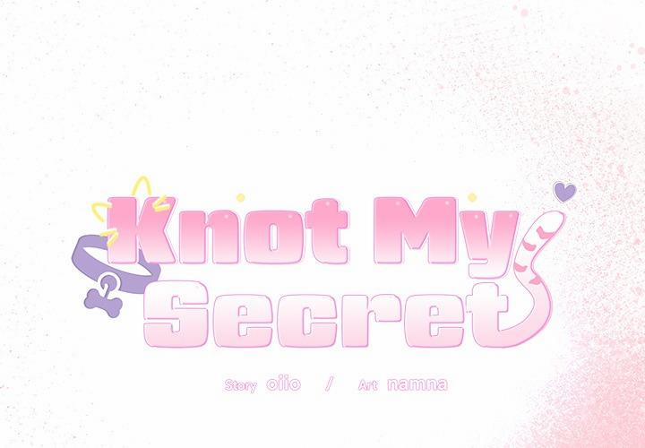 Knot My Secret 19 trang 0