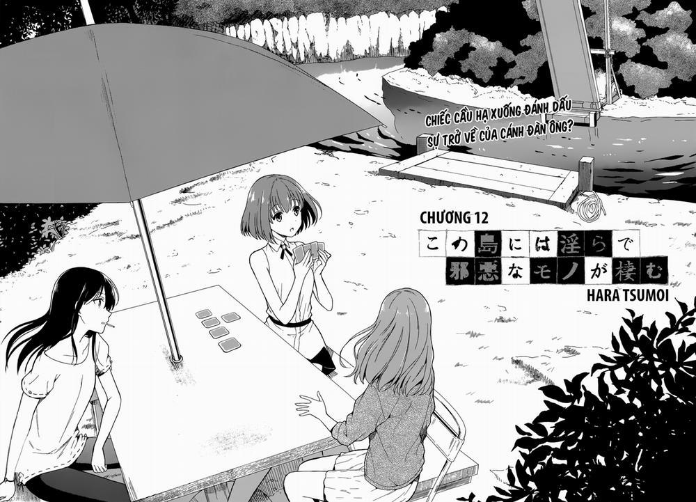 Kono Shima ni wa Midara de Jaaku na Mono ga Sumu! 12 trang 2