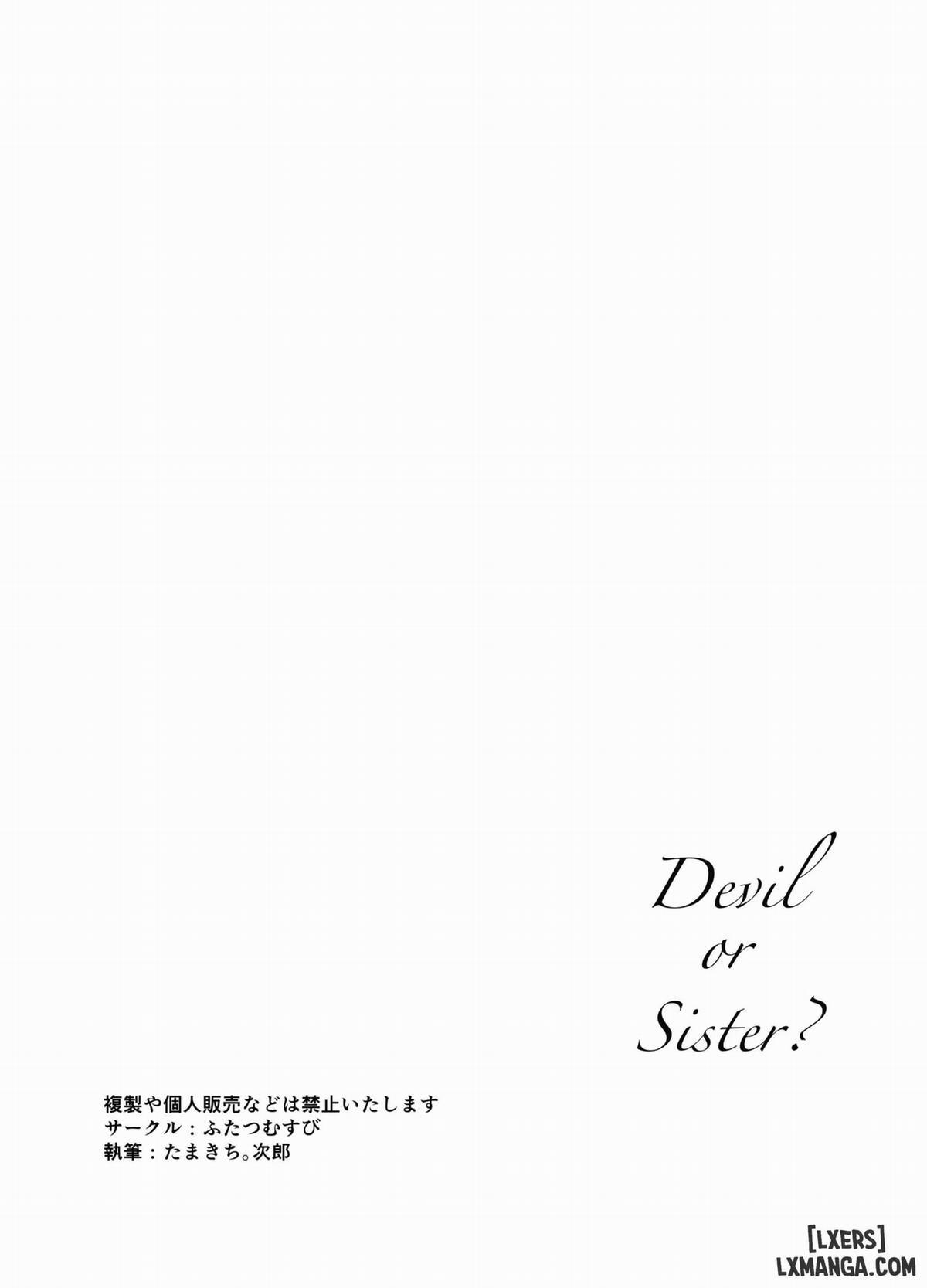 Kore mo Sister no Otsutome desu 1 ~Sister Liliana no Seinaru Oyakume~ *Extra Short [Cosplay thành cái ác] trang 8