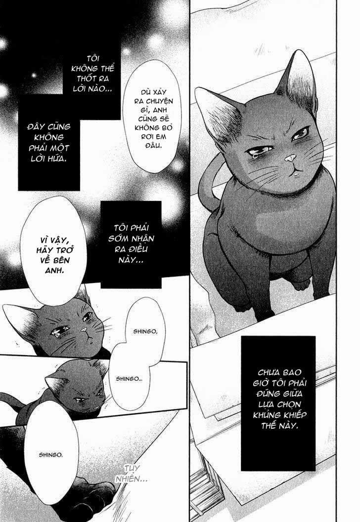 Kuroneko Kareshi No Asobikata 6 trang 17