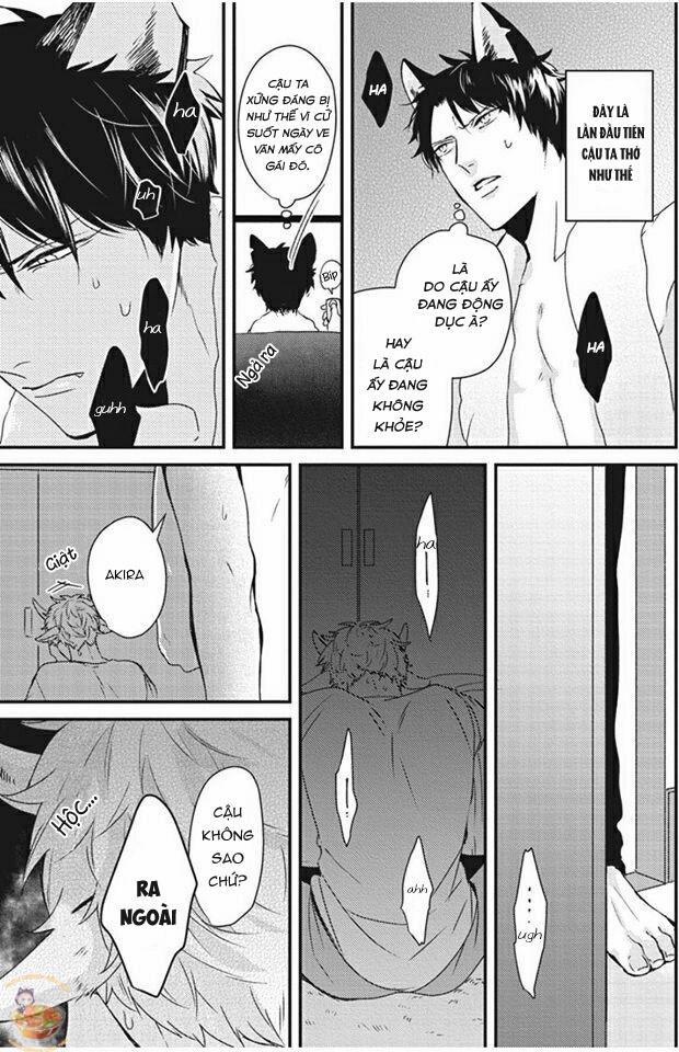 Kỳ Phát Tình Của Dê Và Sói 1 trang 20