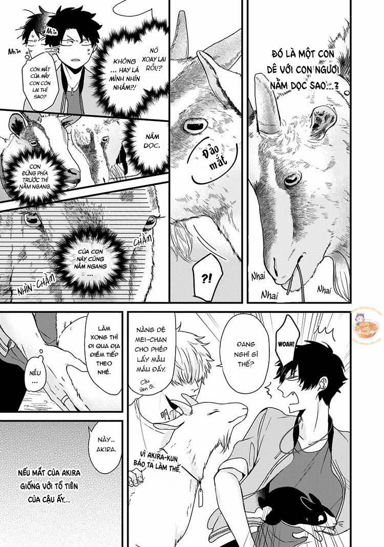 Kỳ Phát Tình Của Dê Và Sói 3 trang 13