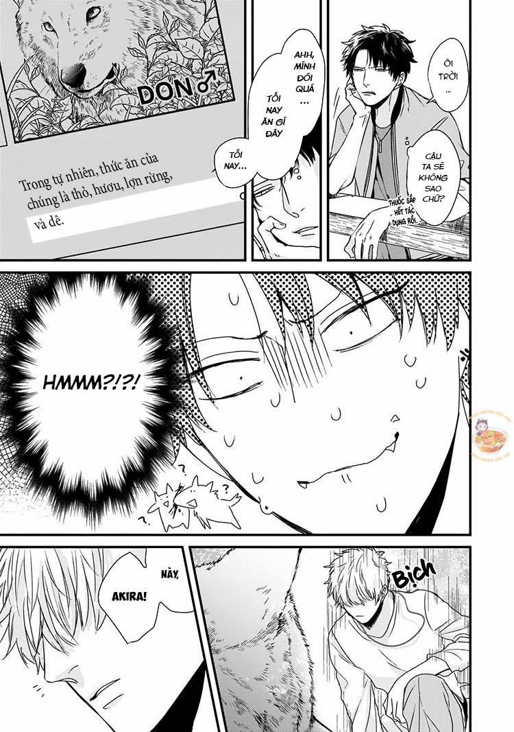 Kỳ Phát Tình Của Dê Và Sói 3 trang 21