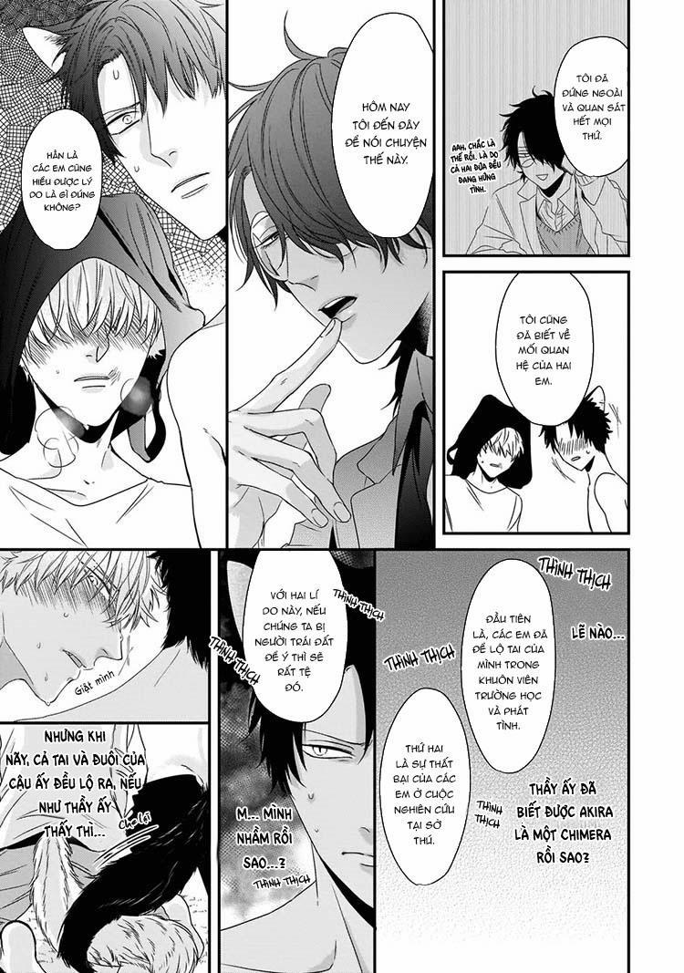 Kỳ Phát Tình Của Dê Và Sói 5 trang 12