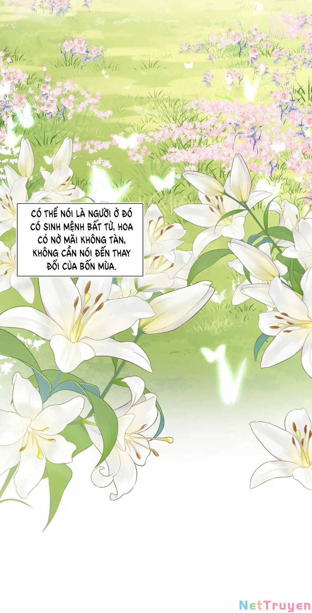 Kỳ Quái Tình Địch Lại Tăng Rồi 26 trang 25