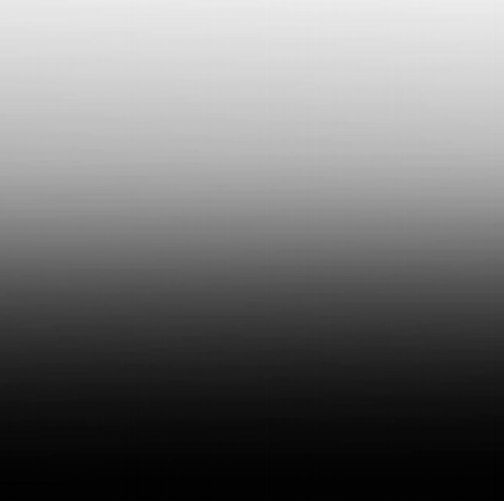 Kỳ Thị 11 trang 5