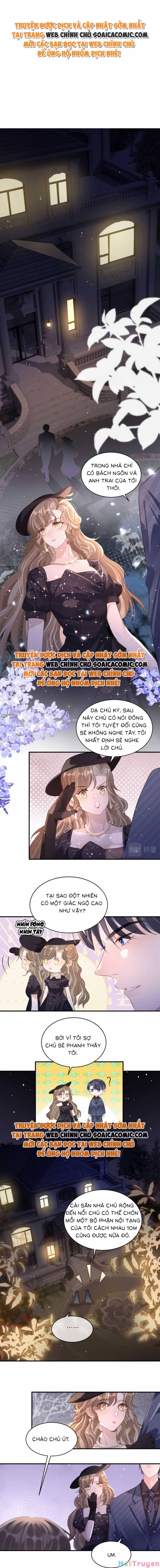 Kỷ Tổng Kiều Thê Vừa Hung Vừa Sủng 5 trang 1