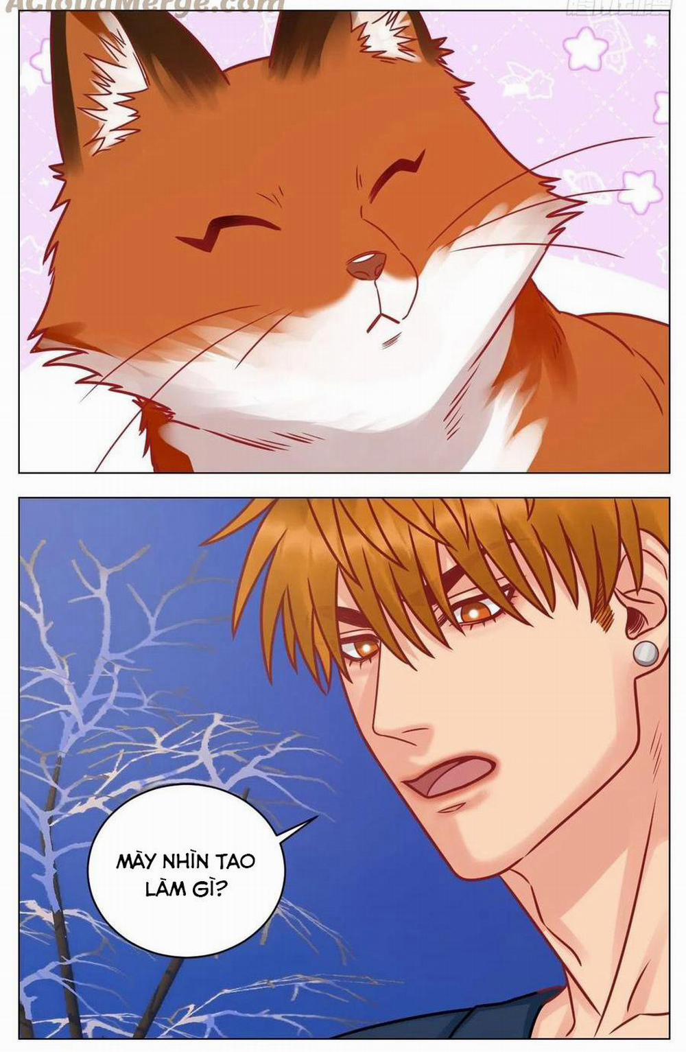 Ký túc xá nam phòng 303 189 trang 4