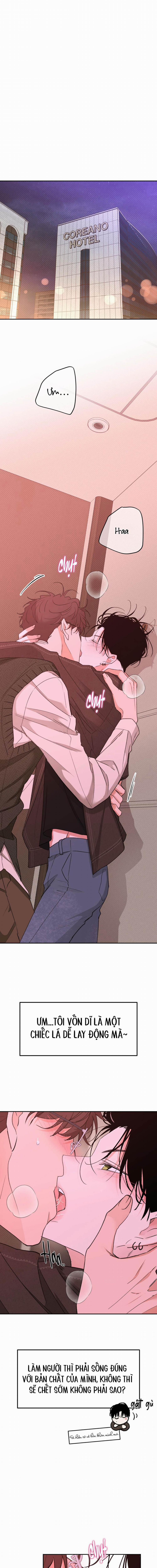 Lá Cuốn Thanh Âm 10 trang 0