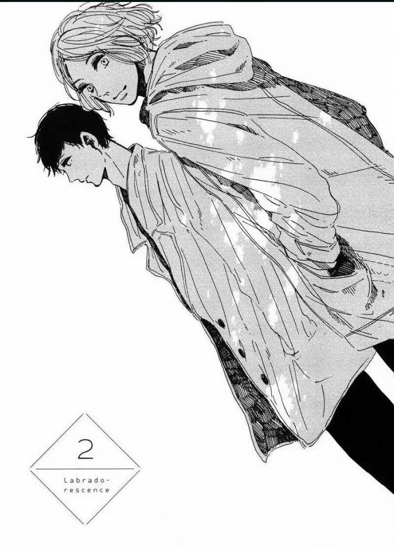 Labradorescence 2 trang 0
