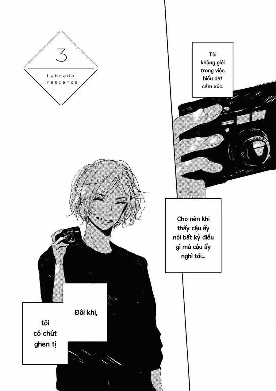 Labradorescence 3 trang 2