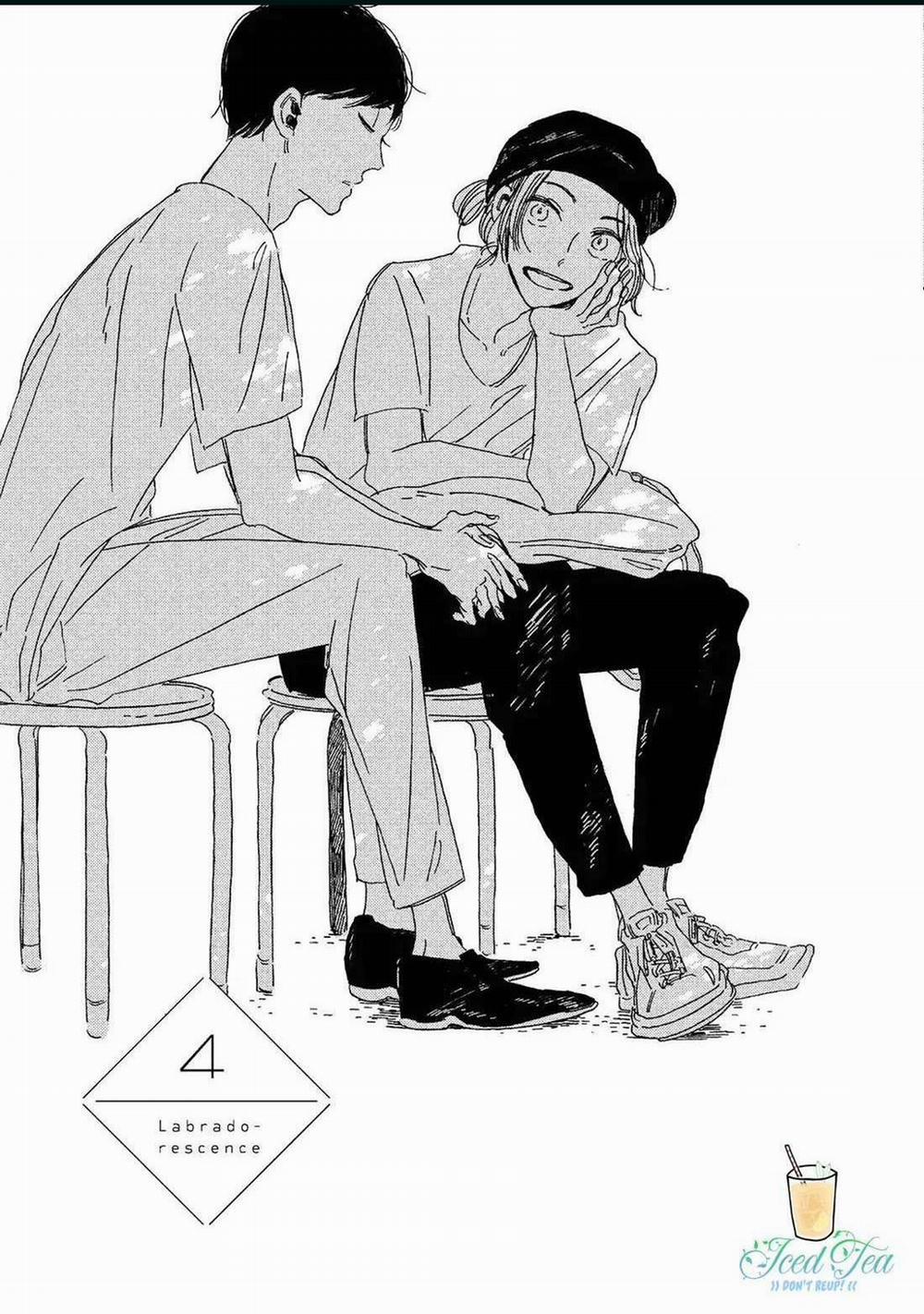 Labradorescence 4 trang 0