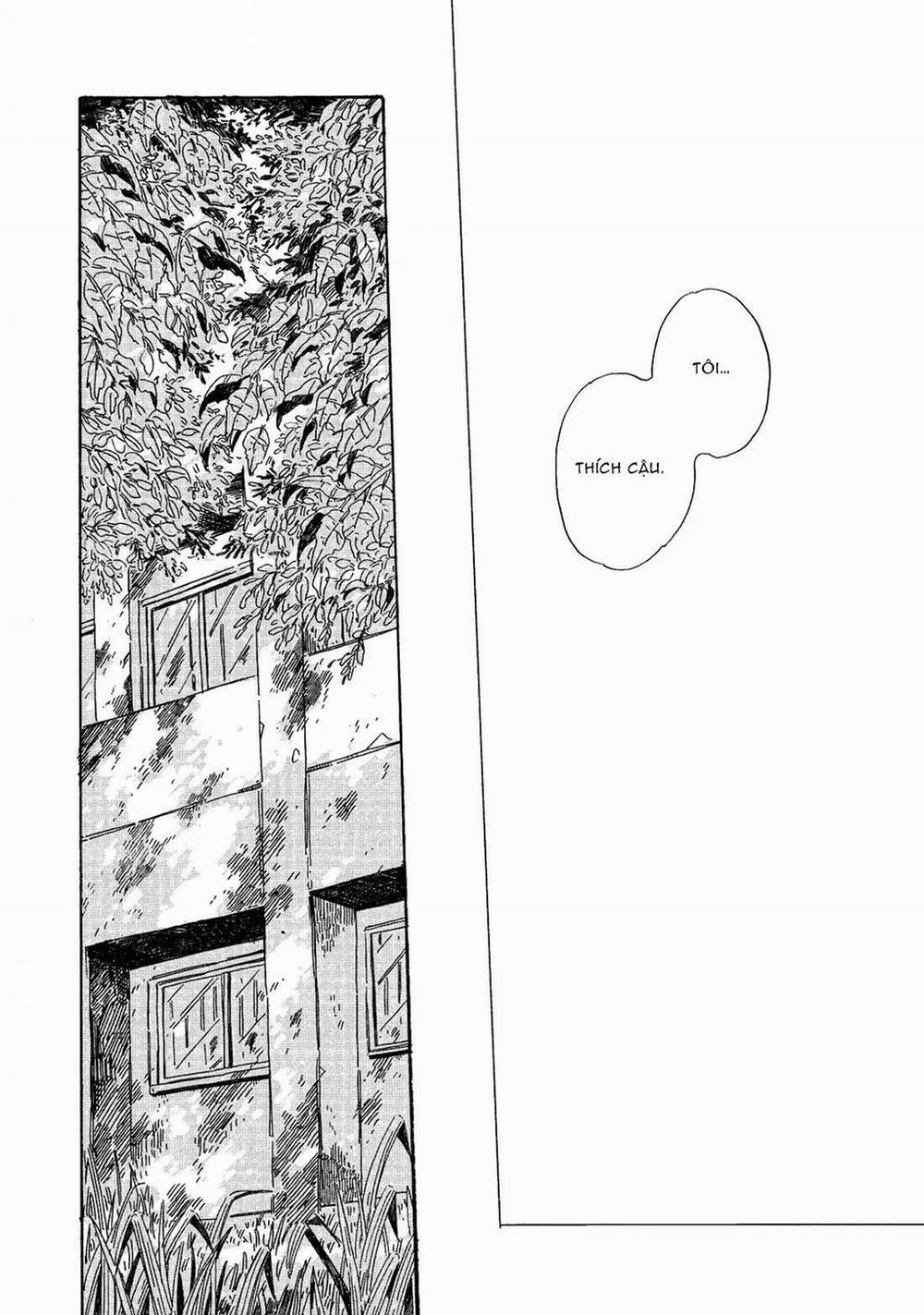 Labradorescence 6 trang 27