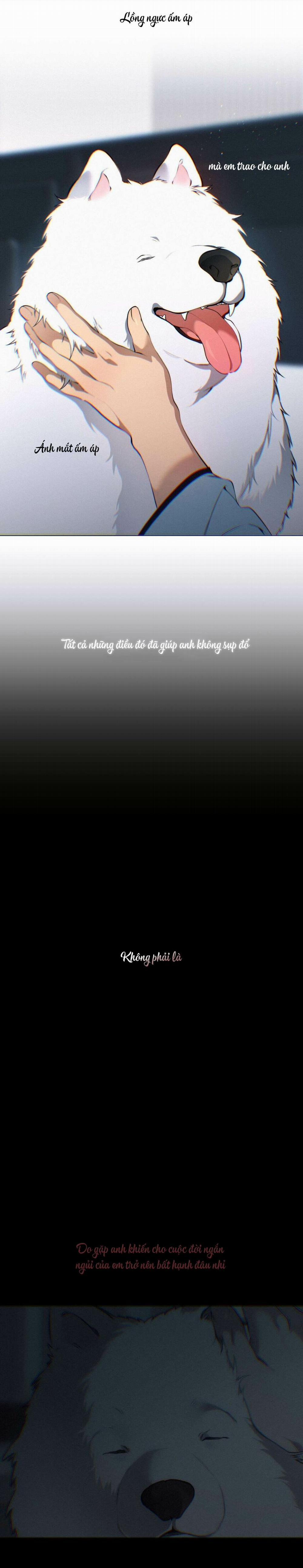 Lạc Giữa Những Tầng Mây 131 trang 10